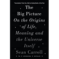 The Big Picture: On the Origins of Life- Meaning- and the Universe Itself